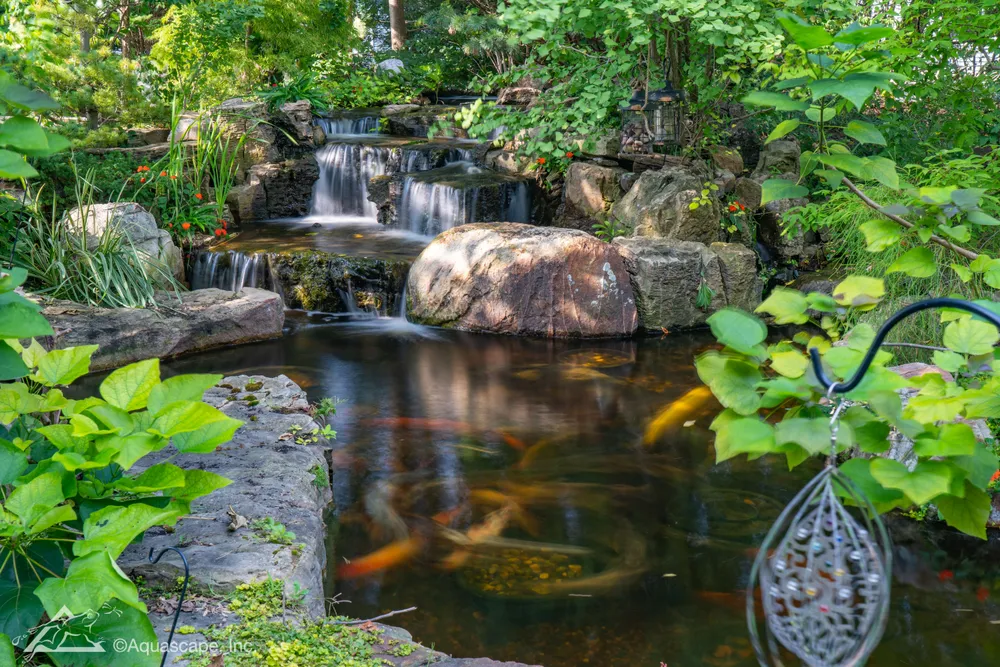 Swimming Ponds