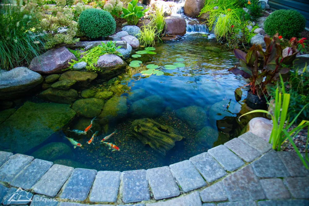 Custom Ponds & Ecosystem Waterfalls