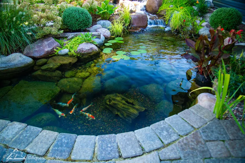 Garden Koi Pond
